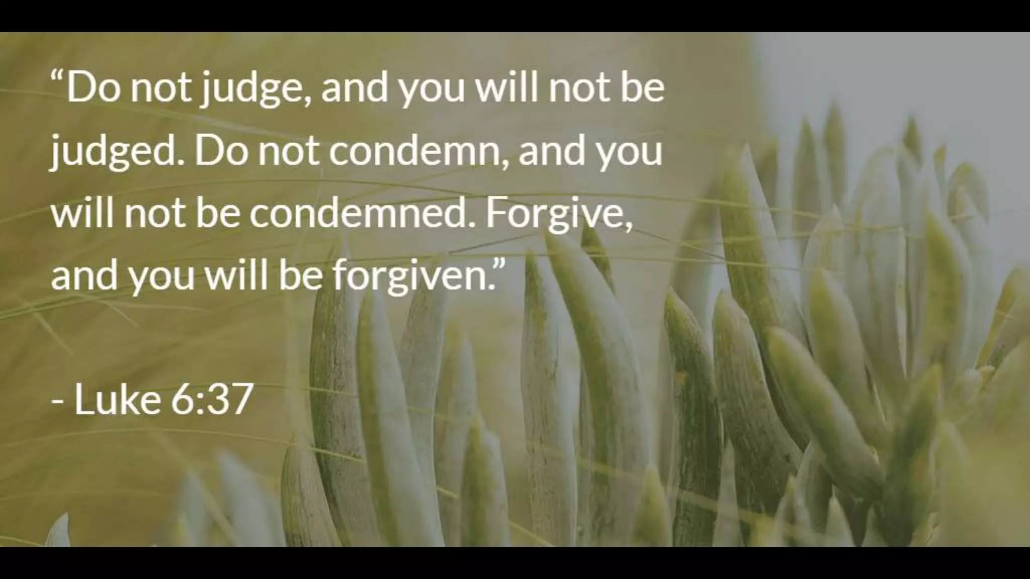 Random Bible Verses | PPTX