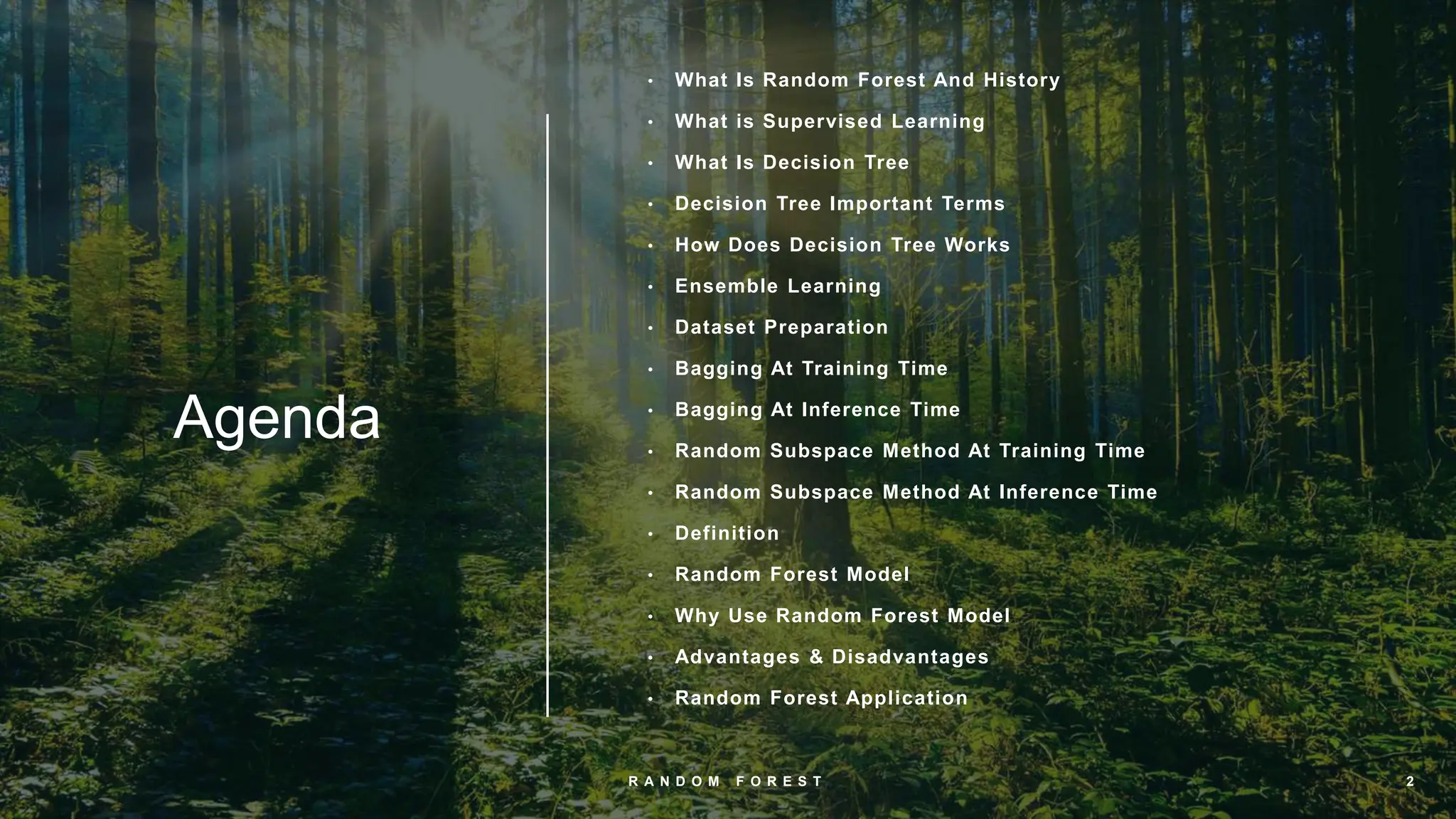 Random Forest | PPT