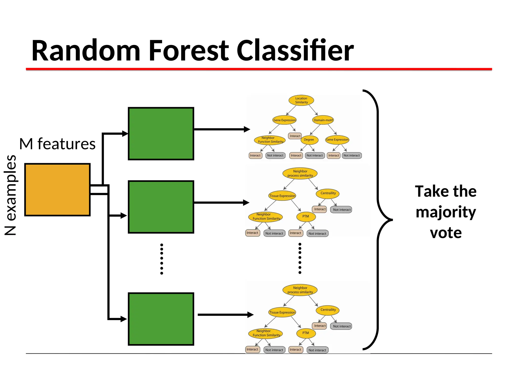 Random Forest algorithm in Machine learning | PPT