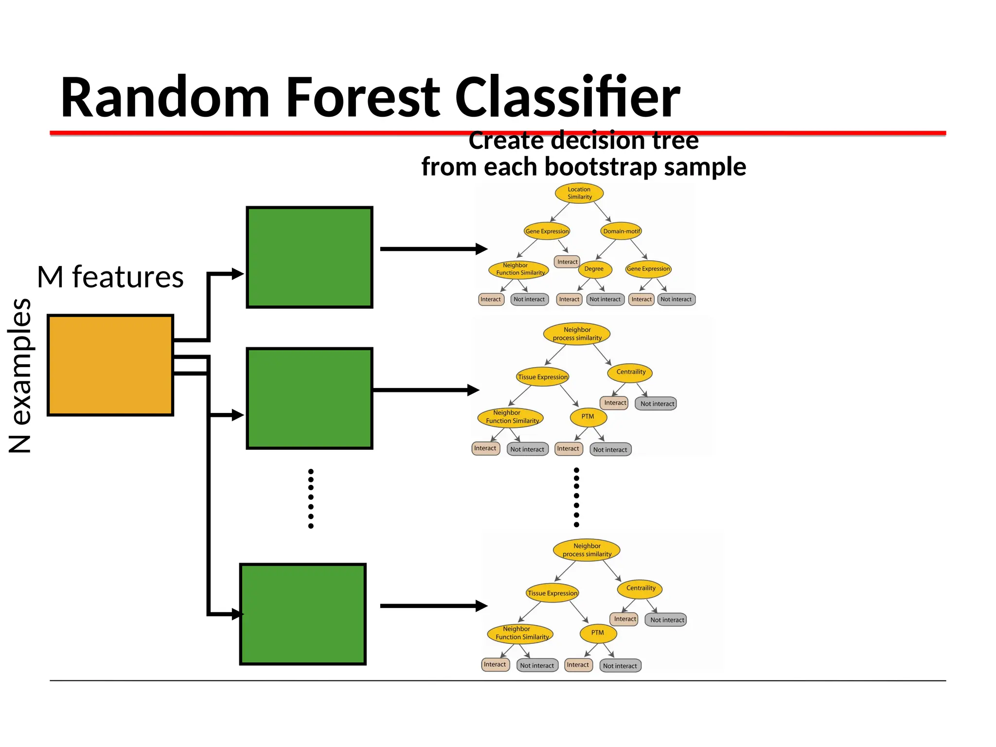 Random Forest algorithm in Machine learning | PPT | Programming ...