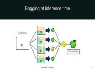 random forest a machine learning algorithm .pptx