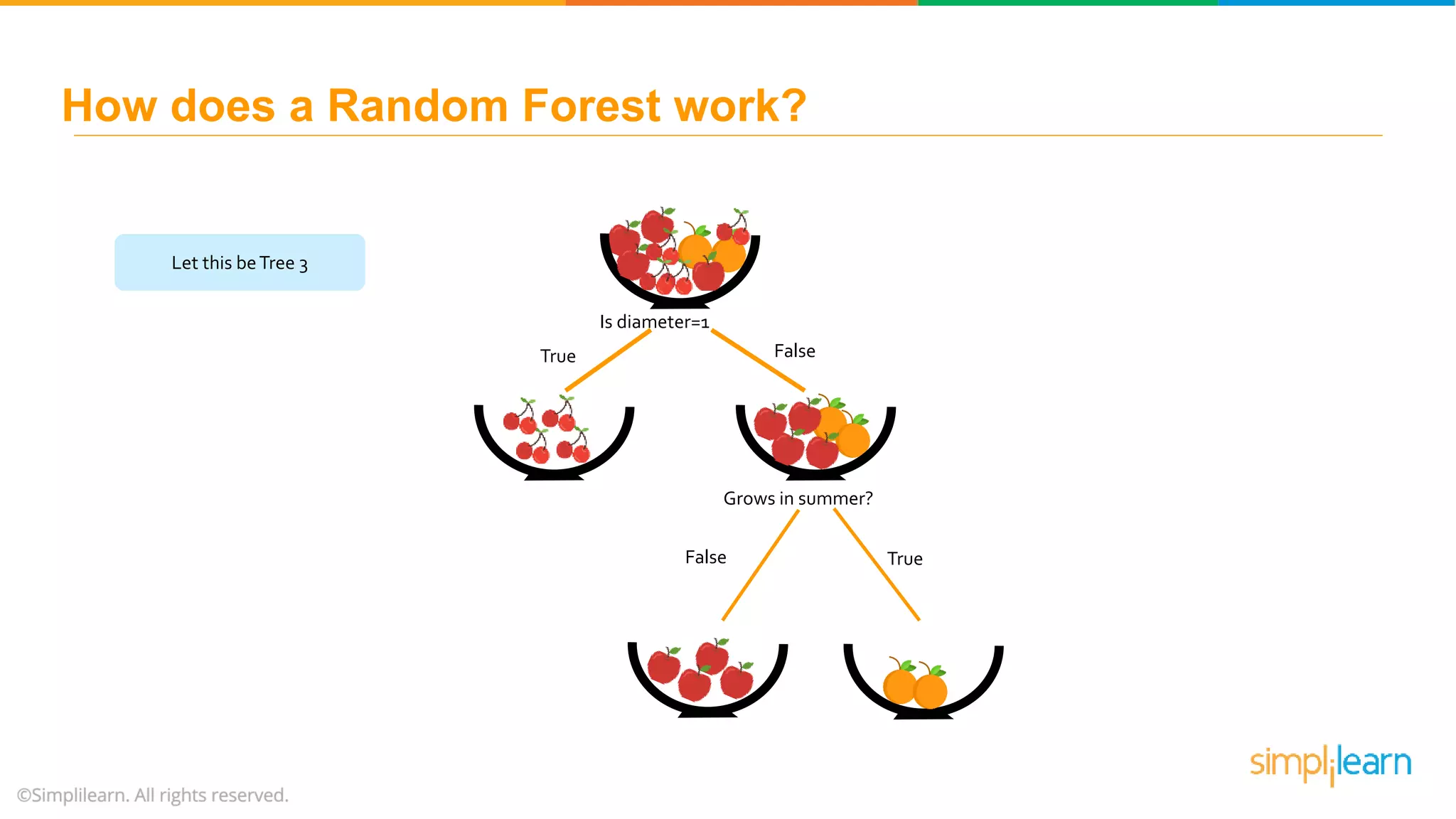 Let this beTree 3 Is diameter=1 FalseTrue Grows in summer? False True How does a Random Forest work? 