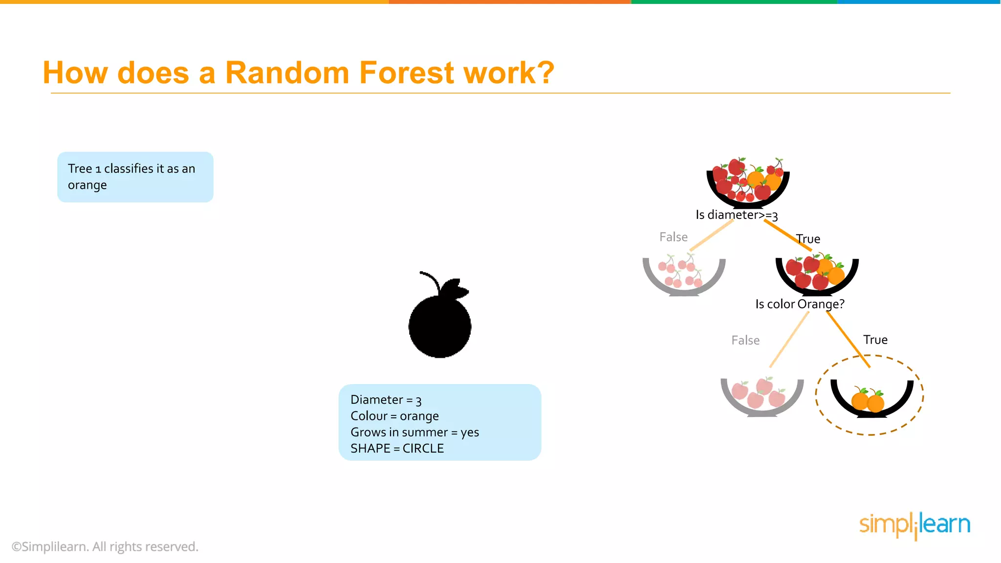 Is diameter>=3 False True Is color Orange? False True Tree 1 classifies it as an orange How does a Random Forest work? Diameter = 3 Colour = orange Grows in summer = yes SHAPE = CIRCLE 