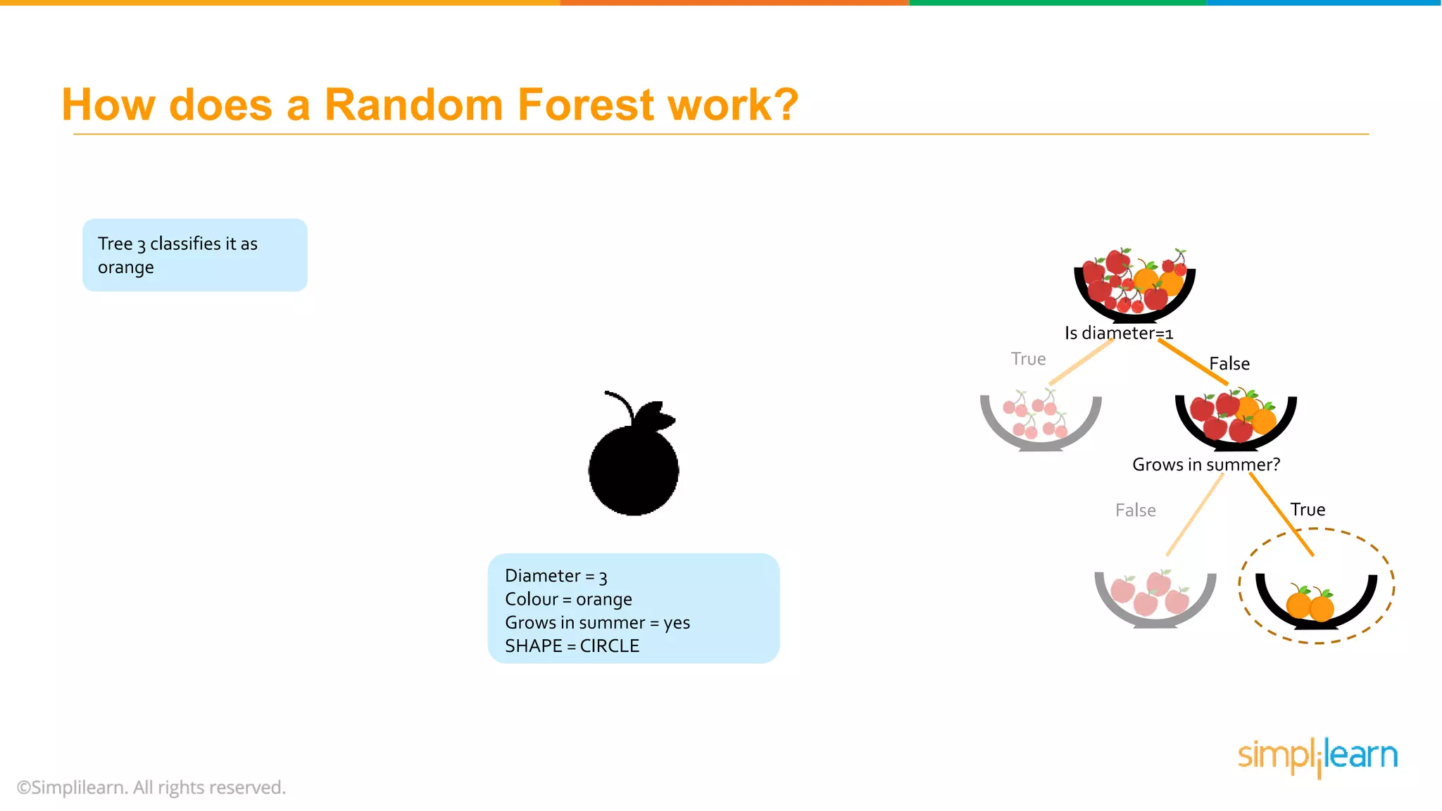 Tree 3 classifies it as orange Is diameter=1 FalseTrue Grows in summer? False True How does a Random Forest work? Diameter = 3 Colour = orange Grows in summer = yes SHAPE = CIRCLE 