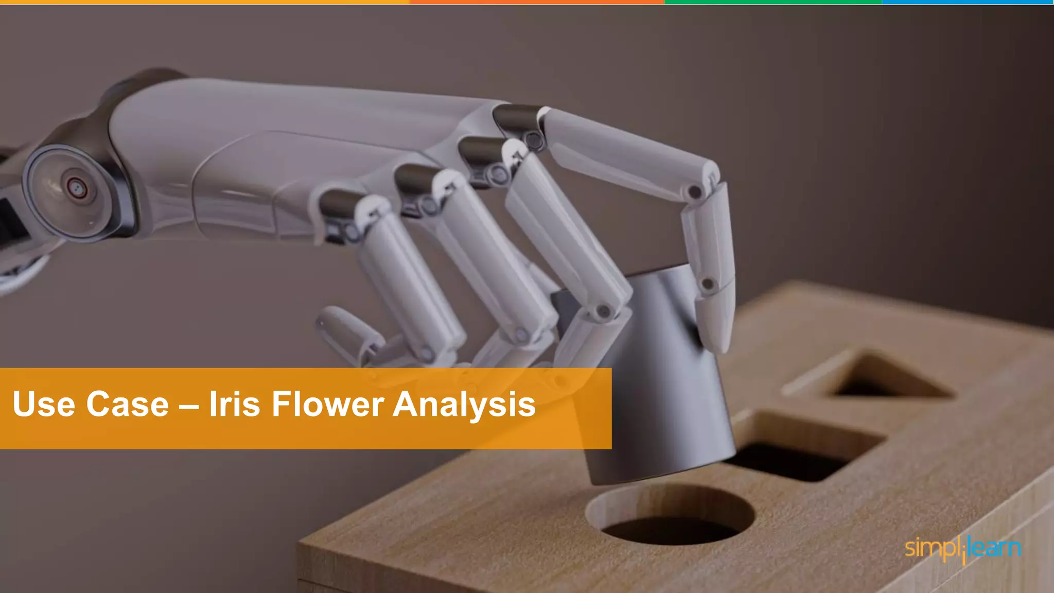 Use Case – Iris Flower Analysis 