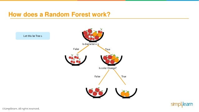 Random Forest Algorithm - Random Forest Explained | Random Forest In