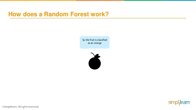 Random Forest Algorithm - Random Forest Explained | Random Forest In