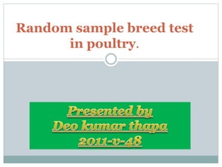 Random sample breed test
in poultry.
 