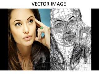 VECTOR IMAGE
 