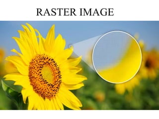 RASTER IMAGE
 