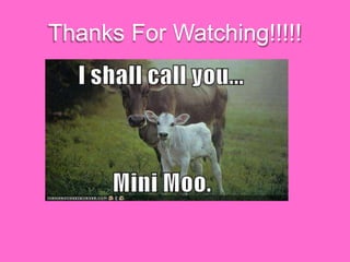 Thanks For Watching!!!!!