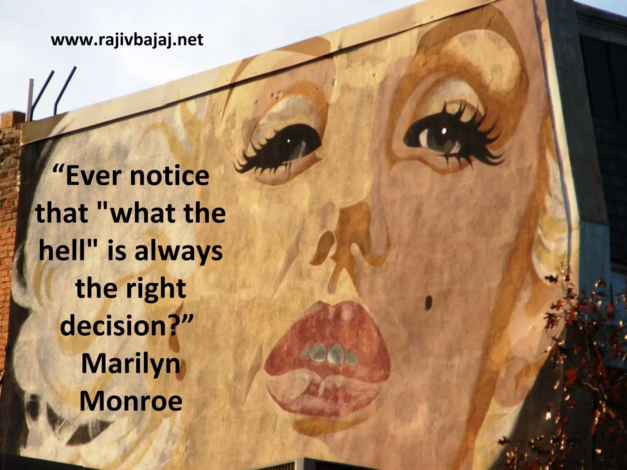 www.rajivbajaj.net




 “Ever notice
that "what the
hell" is always
   the right
  decision?”
    Marilyn
   Monroe
 