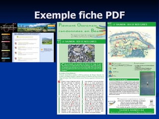Exemple fiche PDF 