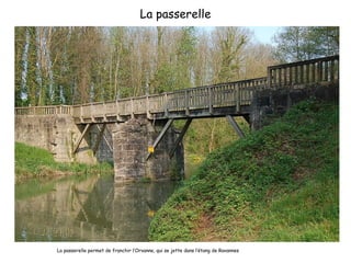 La passerelle La passerelle permet de franchir l’Orvanne, qui se jette dans l’étang de Ravannes 