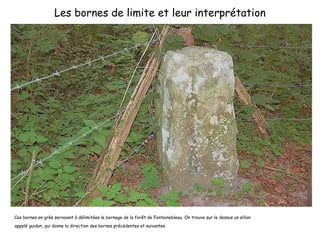 Les bornes de limite et leur interprétation Ces bornes en grès servaient à délimitées le bornage de la forêt de Fontainebleau. On trouve sur le dessus un sillon appelé guidon, qui donne la direction des bornes précédentes et suivantes 