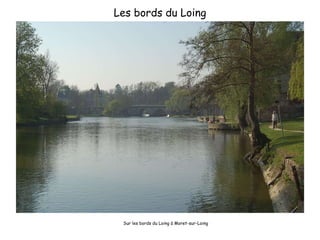 Les bords du Loing Sur les bords du Loing à Moret-sur-Loing 