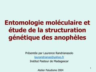Entomologie moléculaire et
 étude de la structuration
 génétique des anophèles

      Présentée par Laurence Randrianasolo
             laurandrianas@yahoo.fr
         Institut Pasteur de Madagascar

                                             1
               Atelier Paludisme 2004
 
