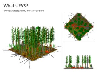 What’s FVS?
Models forest growth, mortality and fire
 