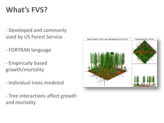 What’s FVS?

- Developed and commonly
used by US Forest Service

- FORTRAN language

- Empirically based
growth/mortality

- Individual trees modeled

- Tree interactions affect growth
and mortality
 