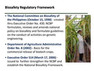 Biotechnology’s Contributions to Increased Philippine Food Security