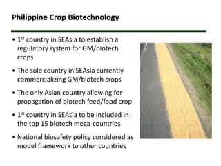 Biotechnology’s Contributions to Increased Philippine Food Security