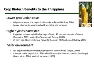 Biotechnology’s Contributions to Increased Philippine Food Security