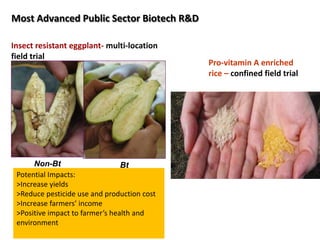 Biotechnology’s Contributions to Increased Philippine Food Security