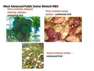 In Summary, Crop Biotech Benefits to the Philippines
• Economic Benefits – productivity, farm income,
production efficienc...