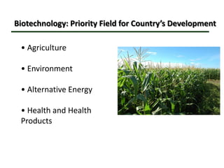 Biotechnology’s Contributions to Increased Philippine Food Security