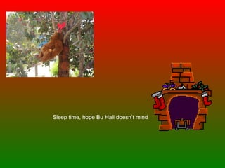 Sleep time, hope Bu Hall doesn’t mind 