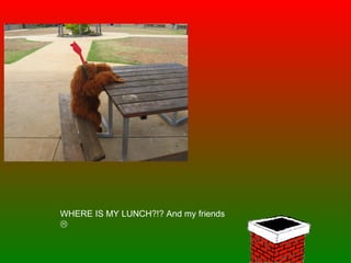 WHERE IS MY LUNCH?!? And my friends   