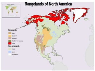 Provincial Rangelands Rangeland Management | PPTX