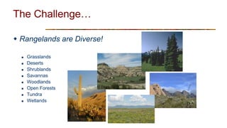 Rangeland | PPT