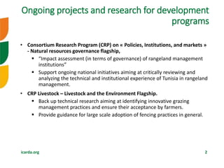 Research investments in institutional innovations: The case of rangeland governance in Tunisia―Ongoing rangeland research and outcomes of IFAD-ICARDA-NARS 