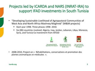 Research investments in institutional innovations: The case of rangeland governance in Tunisia―Background on IFAD-CGIAR-NARS collaboration in South Tunisia