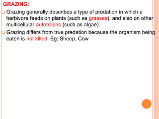GRAZING:
 Grazing generally describes a type of predation in which a
herbivore feeds on plants (such as grasses), and also on other
multicellular autotrophs (such as algae).
 Grazing differs from true predation because the organism being
eaten is not killed. Eg: Sheep, Cow
 
