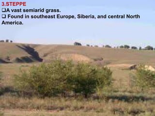 3.STEPPE
A vast semiarid grass.
 Found in southeast Europe, Siberia, and central North
America.
 