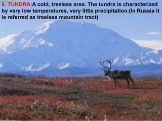 8. TUNDRA:A cold, treeless area. The tundra is characterized
by very low temperatures, very little precipitation.(In Russia it
is referred as treeless mountain tract)
 