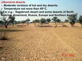 Semiarid deserts
 Moderate versions of hot and dry deserts.
 Temperature not more than 40o C.
For e.g.: Sagebrush desert and some deserts of North
America, Greenland, Russia, Europe and Northern Asia.
 
