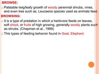 BROWSE:
 Palatable twig/leafy growth of woody perennial shrubs, vines,
and even tree such as, Leucaena species used as animals feed.
BROWSING:
 It is a type of predation in which a herbivore feeds on leaves,
soft shoot, or fruits of high growing, generally woody plants such
as shrubs. (Chapman et al., 1999)
 This types of feeding behavior found in Goat, Elephant.
 