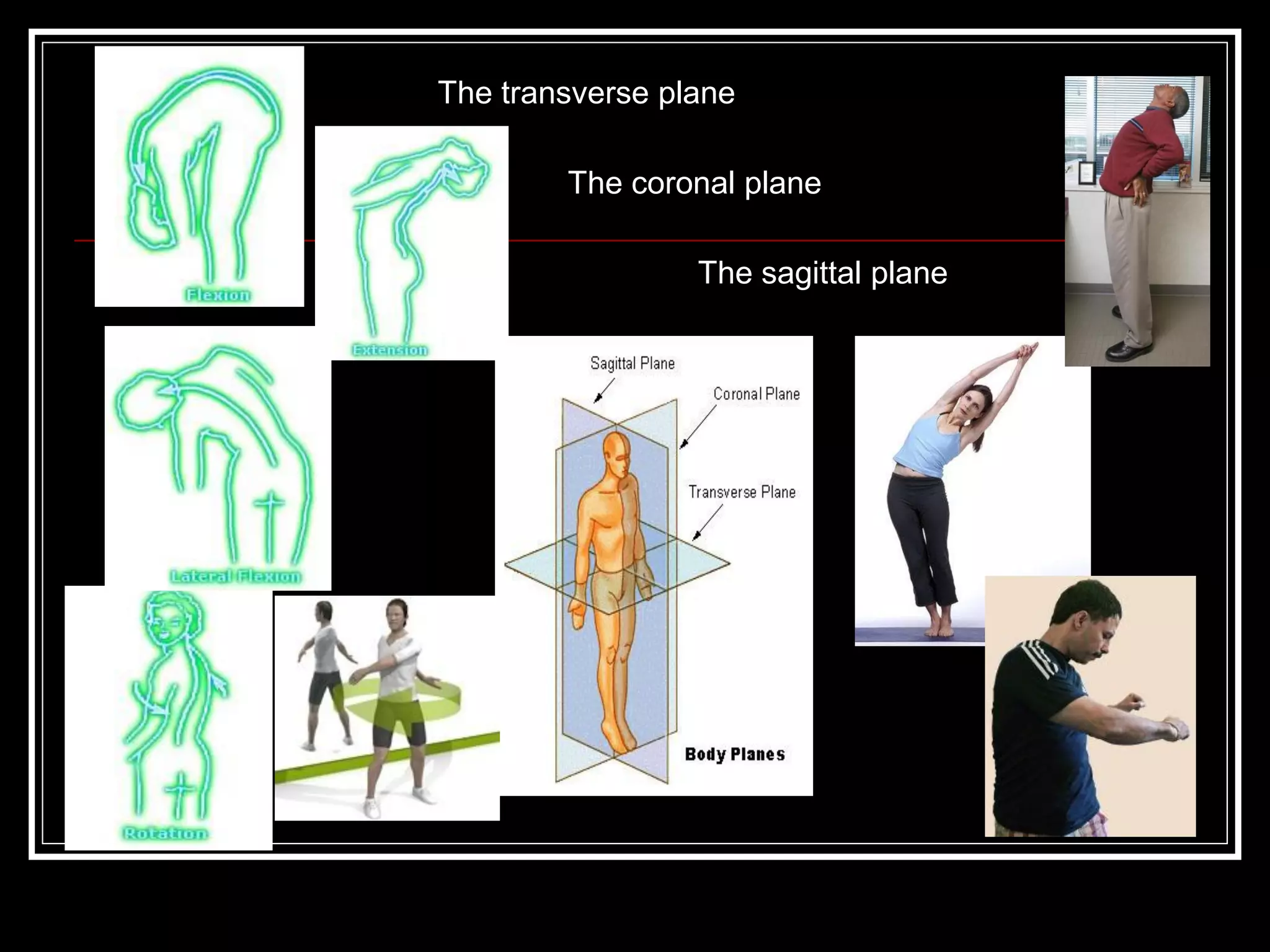 The transverse plane
The coronal plane
The sagittal plane
 