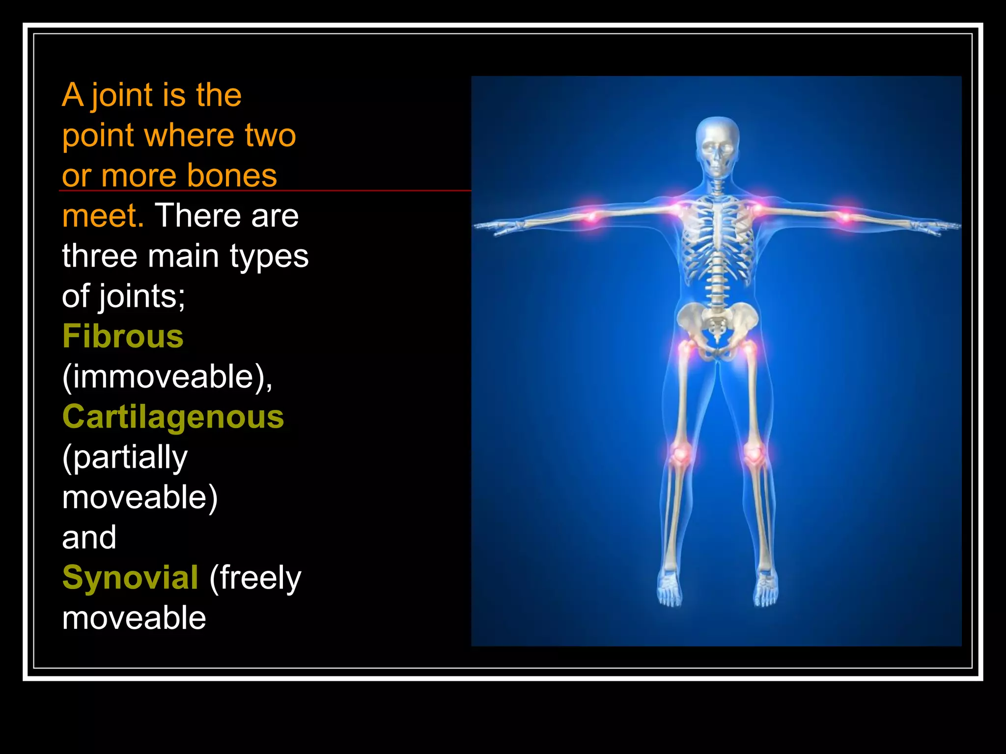 A joint is the
point where two
or more bones
meet. There are
three main types
of joints;
Fibrous
(immoveable),
Cartilagenous
(partially
moveable)
and
Synovial (freely
moveable
 