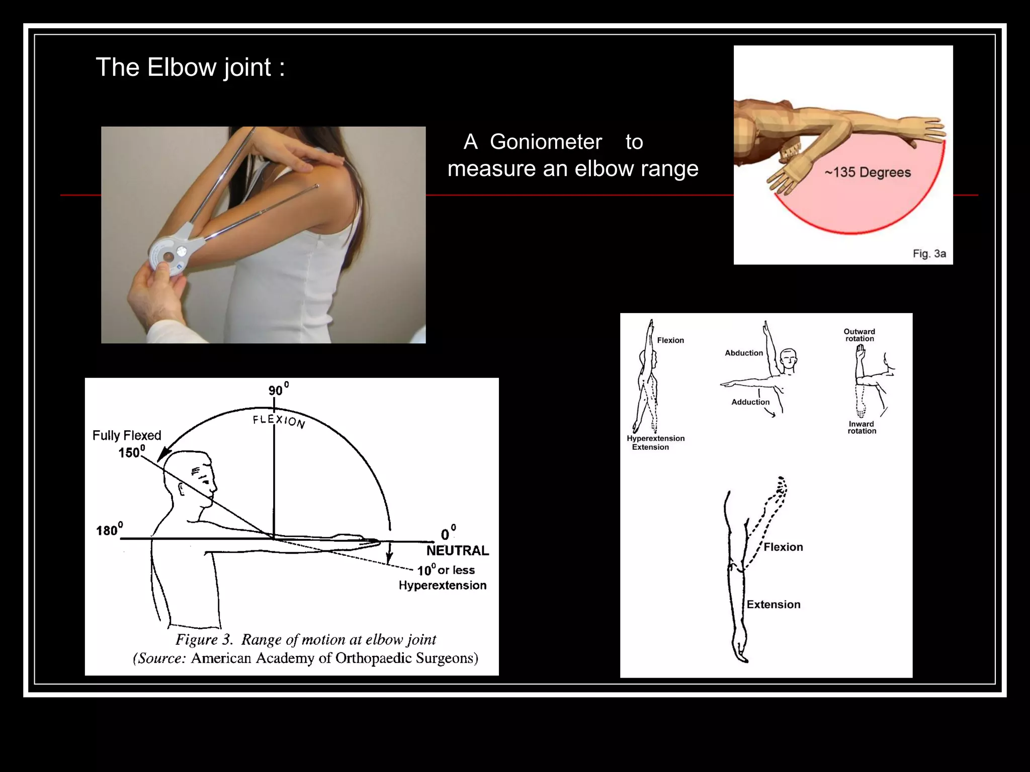 A Goniometer to
measure an elbow range
The Elbow joint :
 