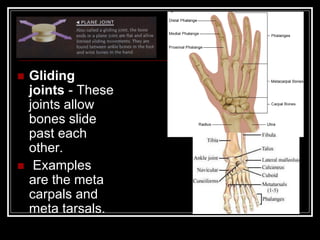  Gliding
joints - These
joints allow
bones slide
past each
other.
 Examples
are the meta
carpals and
meta tarsals.
 