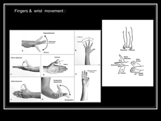 Fingers & wrist movement :
 