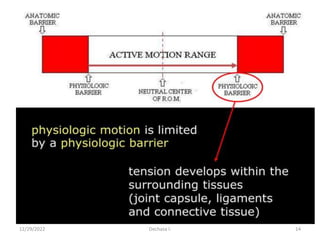12/29/2022 Dechasa I. 14
 