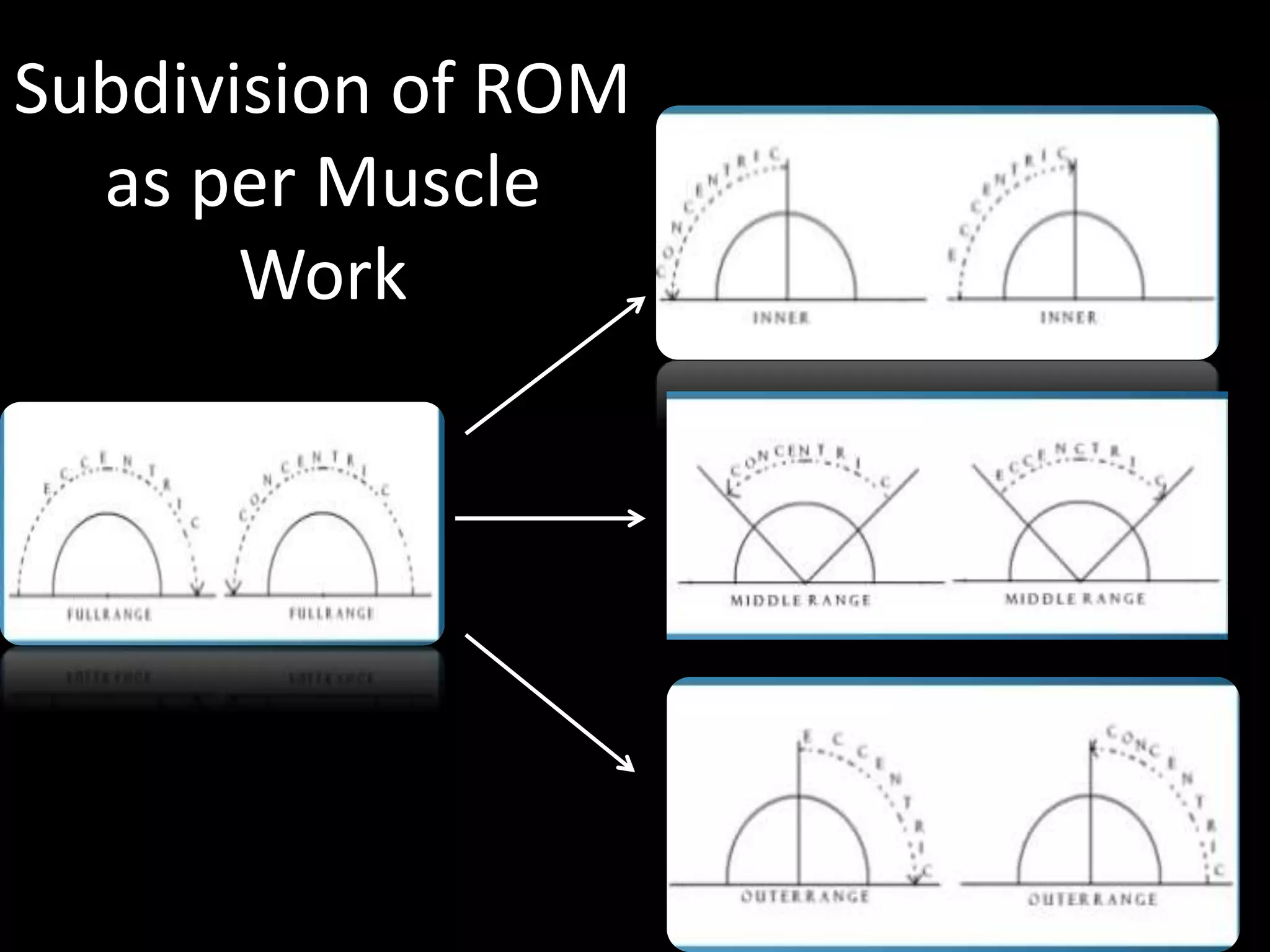 Subdivision of ROM
as per Muscle
Work
 