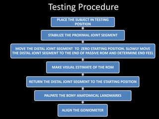 Active Range Of Motion Testing