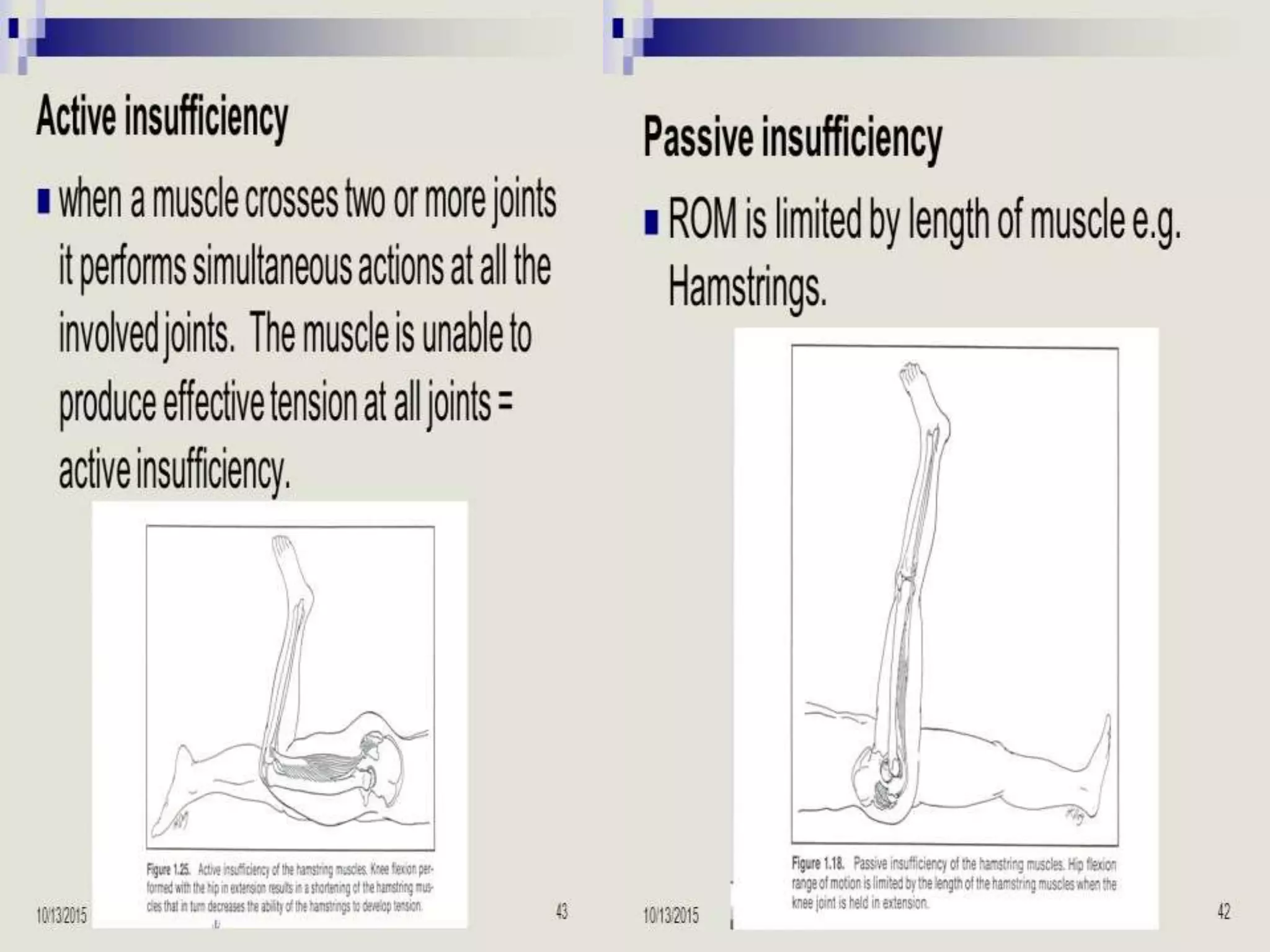 Range of motion chap 3 | PPTX