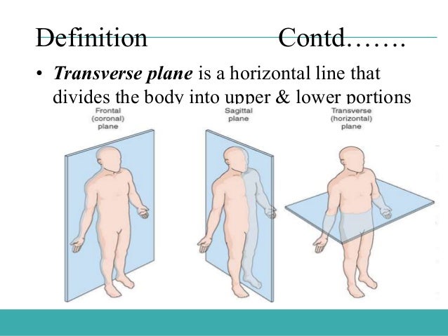 Range Of Motion Exercises
